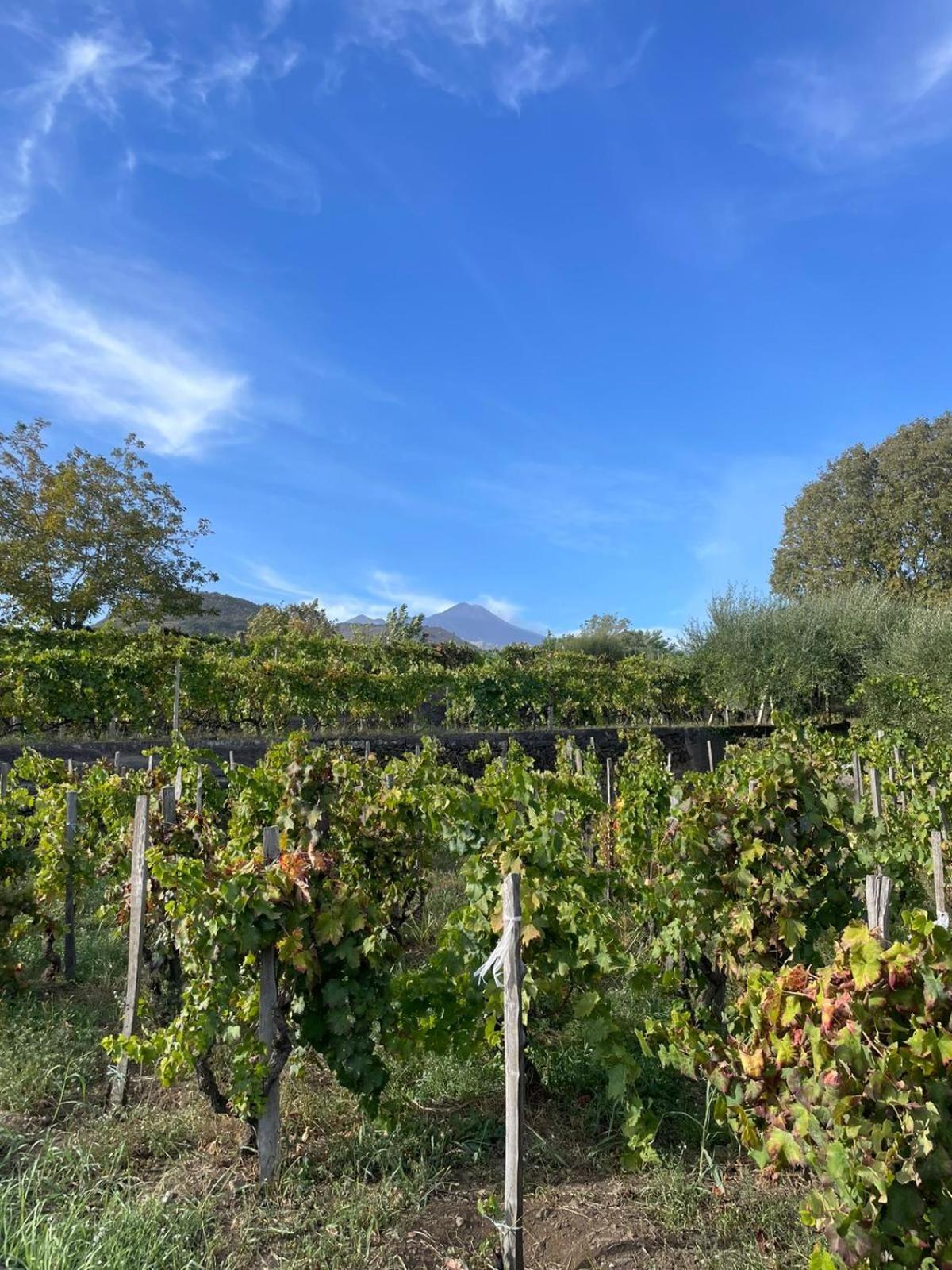 Le Dimore Del Corso II Ad Acireale Fra Catania, Taormina, Il Mare E L'Etna Ngoại thất bức ảnh